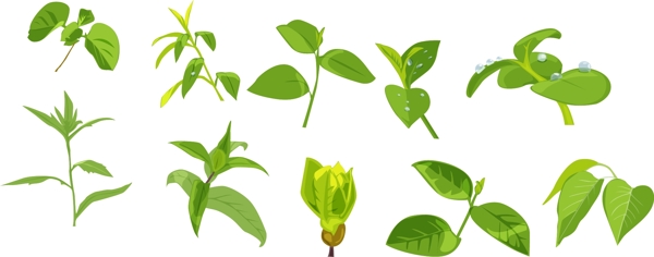 嫩芽綠色小植物