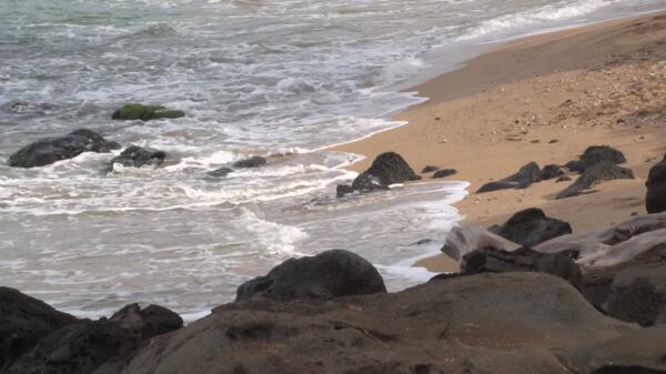 波浪卷在夏威夷海滩上的股票视频视频免费下载