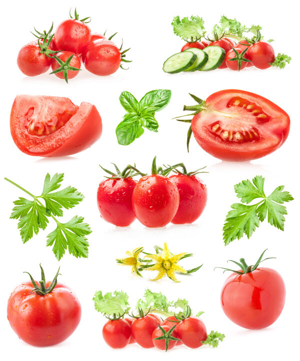 西红柿和薄荷叶高清图片
