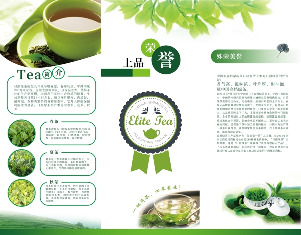 绿茶生态宣传折页设计