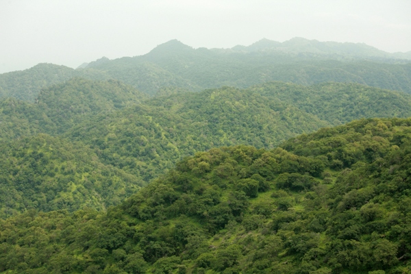 美麗的自然風(fēng)景圖片