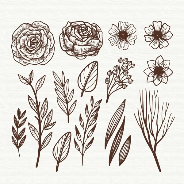 手绘素描风格的花卉元素