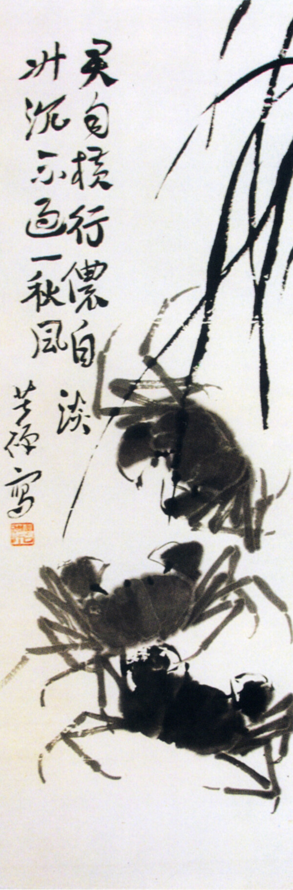 君自橫行儂自淡