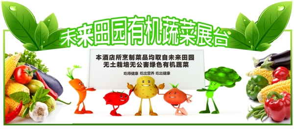 有机蔬菜展板图片
