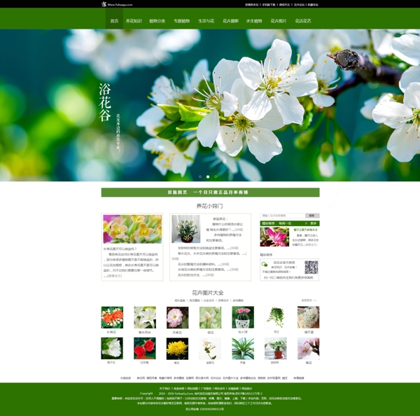 花草类首页网页设计网站设计网页排版
