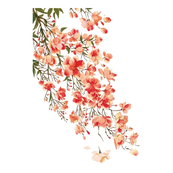 婚禮水彩花卉素材可商用