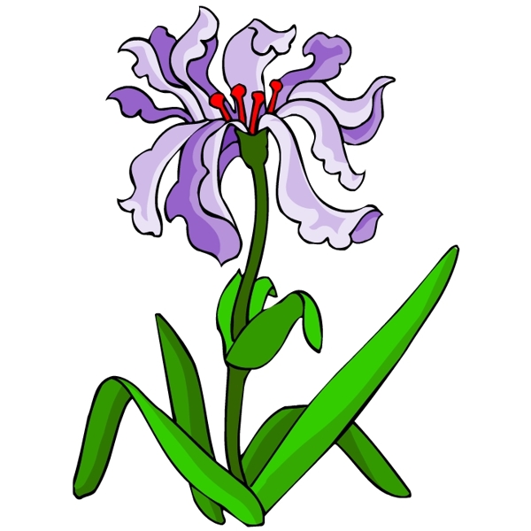 花卉古典插畫