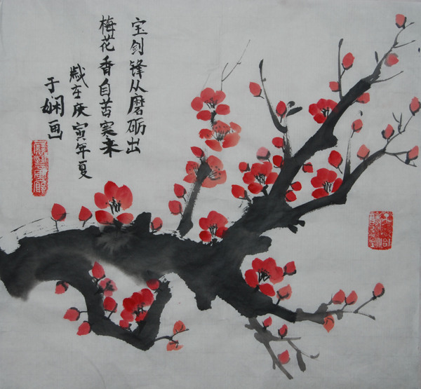 梅花圖片