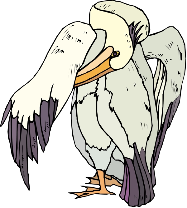 各種鳥類鳥動(dòng)物矢量素材EPS格式1247