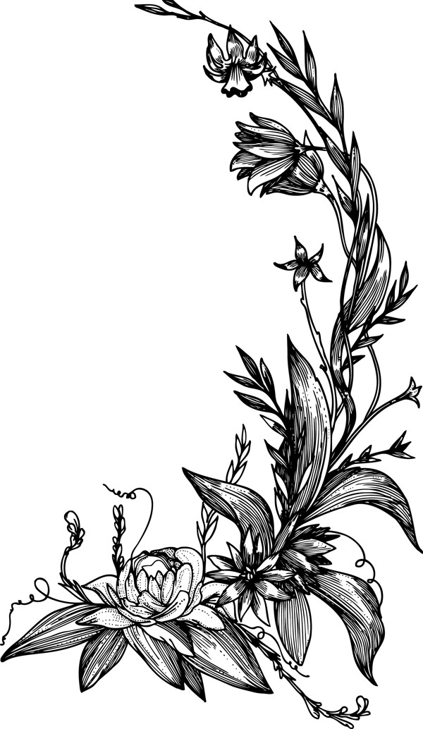 矢量花卉幀