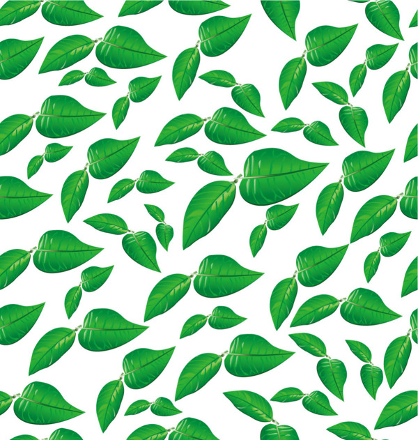 绿色树叶矢量图形素材集