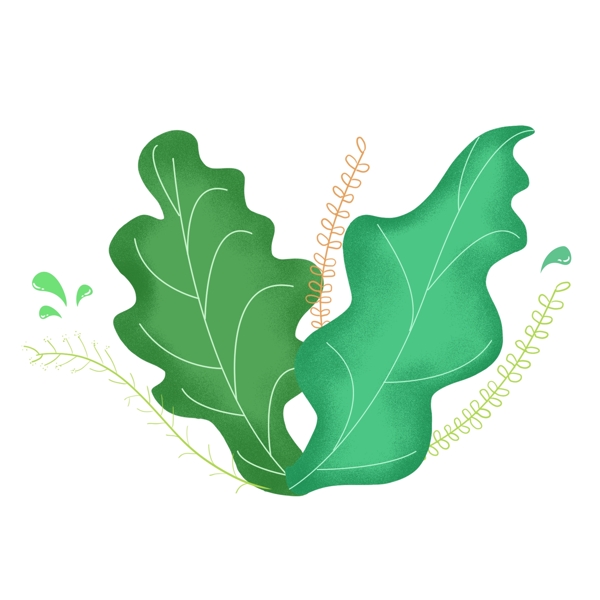 手绘绿色水滴植物叶子装饰图案元素可商用