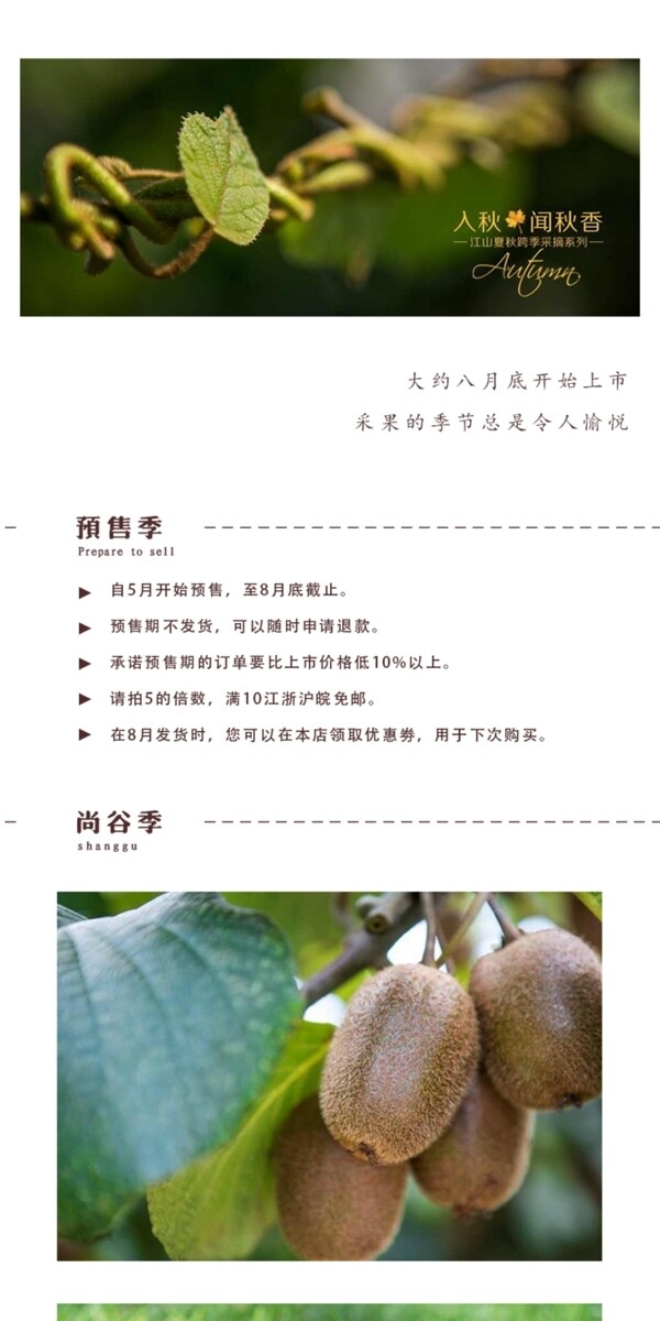 獼猴桃預(yù)售詳情頁(yè)小清新風(fēng)格