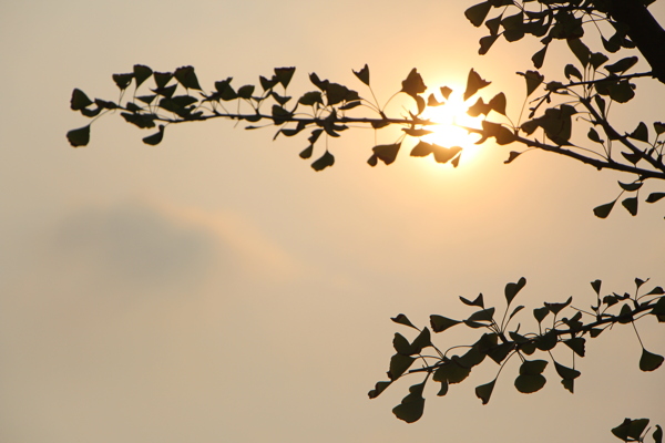 夕陽