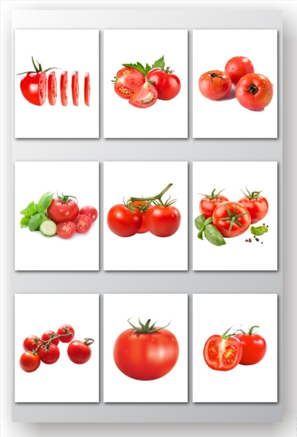 蔬菜西红柿矢量素材