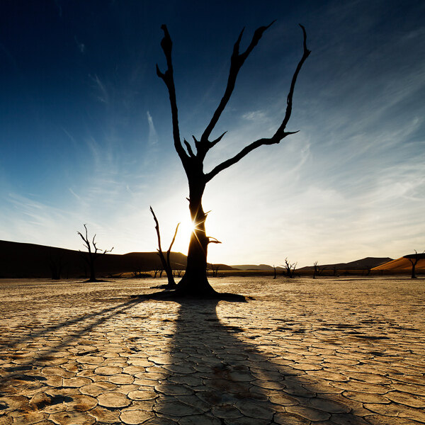 干旱沙漠2