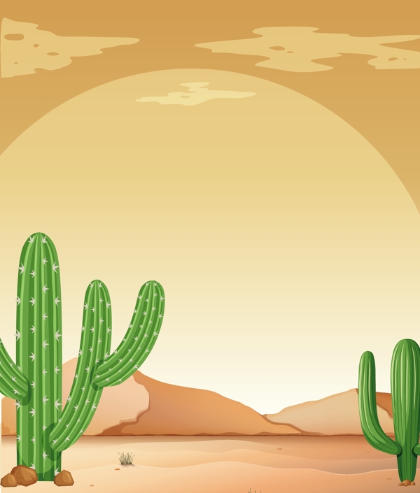 沙漠中仙人掌的背景景色