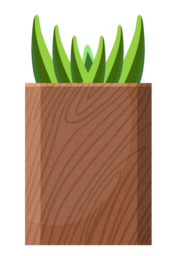 木质盆栽植物插画