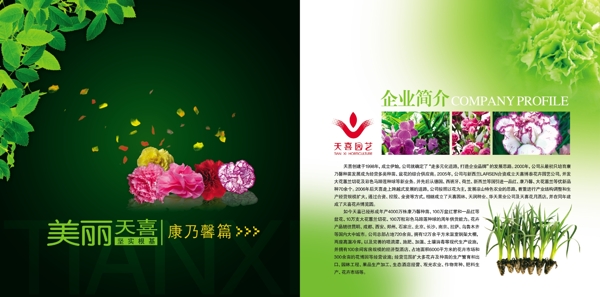 畫冊psd設(shè)計(jì)模板下載