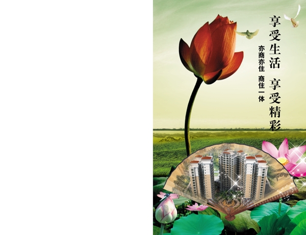 明珠折頁圖片