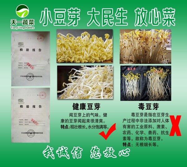 豆芽展板