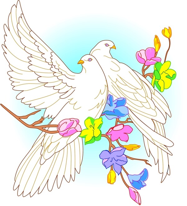 各種鳥類鳥動物矢量素材EPS格式0637