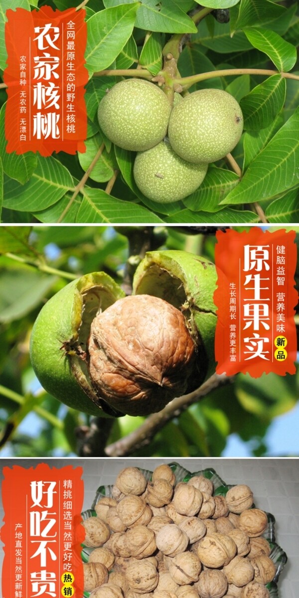 核桃詳情頁(yè)