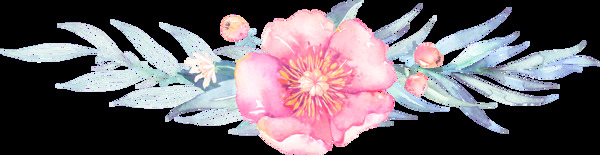 時尚花卉透明素材