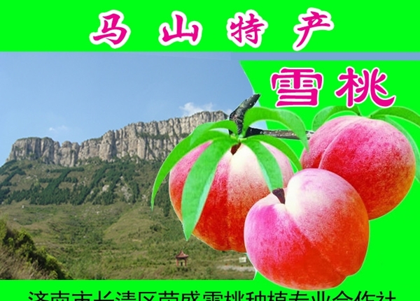 雪桃圖片