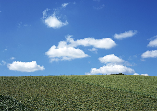 田園風光