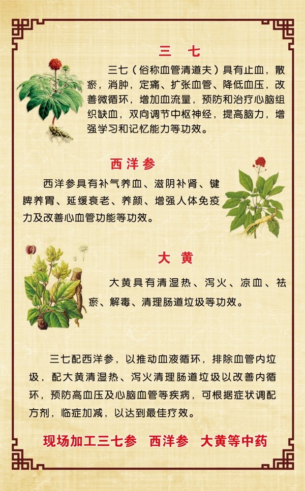 中藥圖片