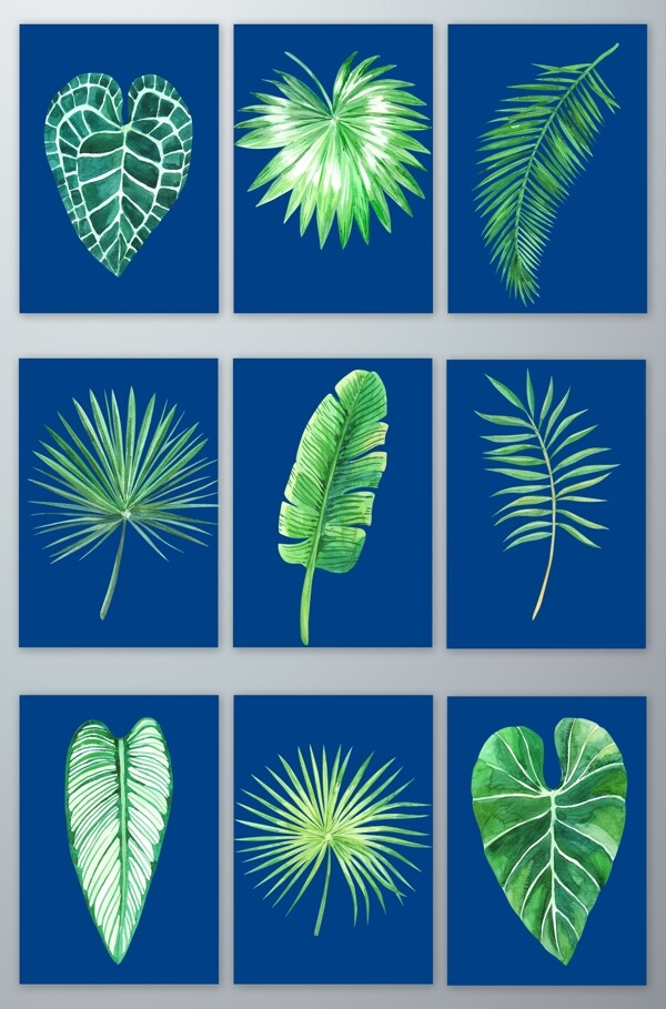 水彩手绘热带植物绿叶