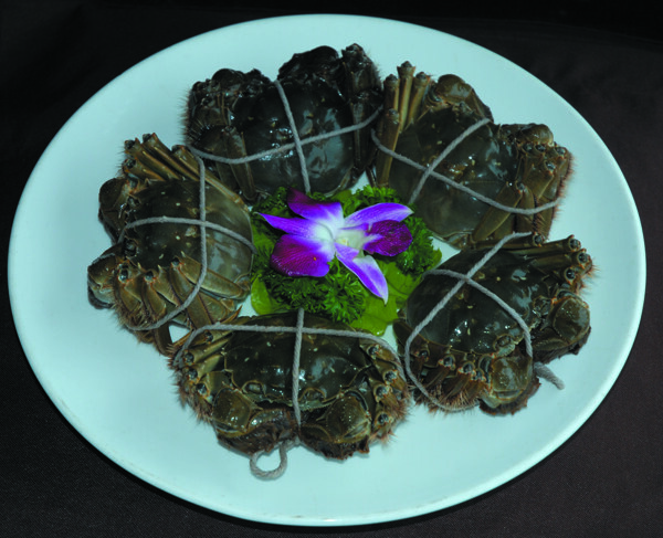 大閘蟹圖片