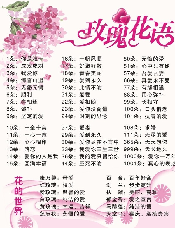 玫瑰花語圖片