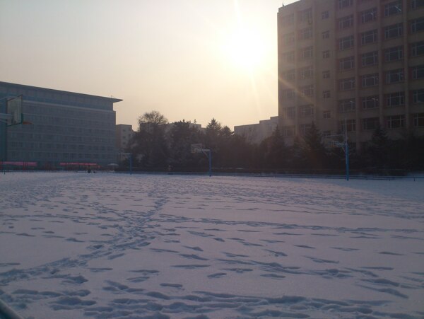 雪留下的足跡圖片
