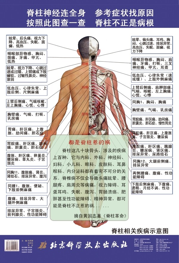 脊柱掛圖彩頁(yè)