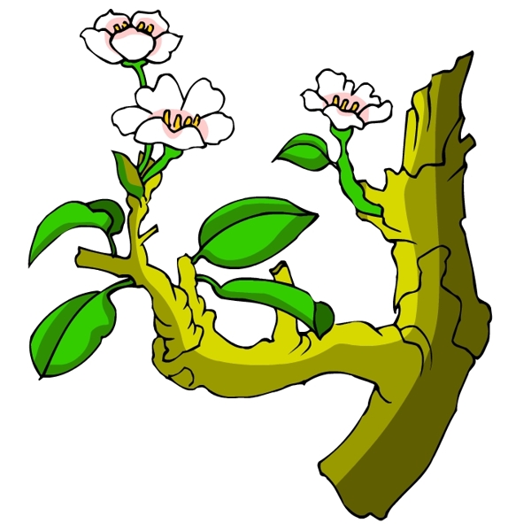 花卉古典插畫