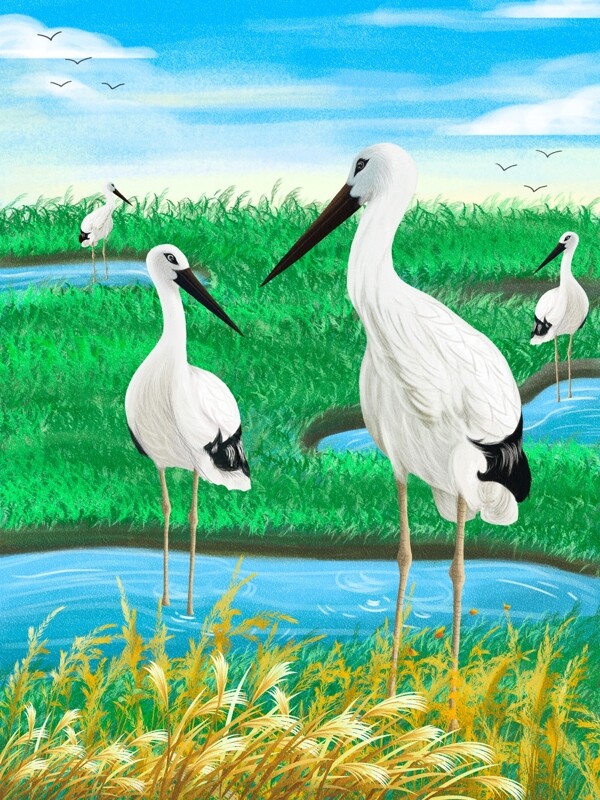 世界湿地日保护大自然湿地鸟类插画