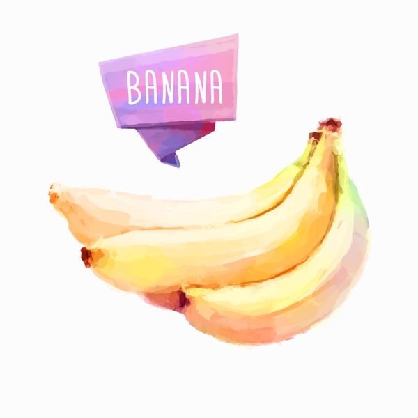 香蕉水果水彩矢量素材图片
