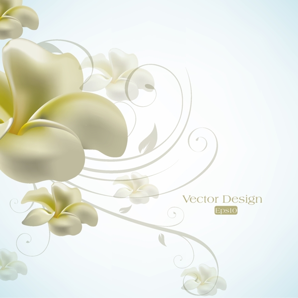 文字優(yōu)雅的百合花