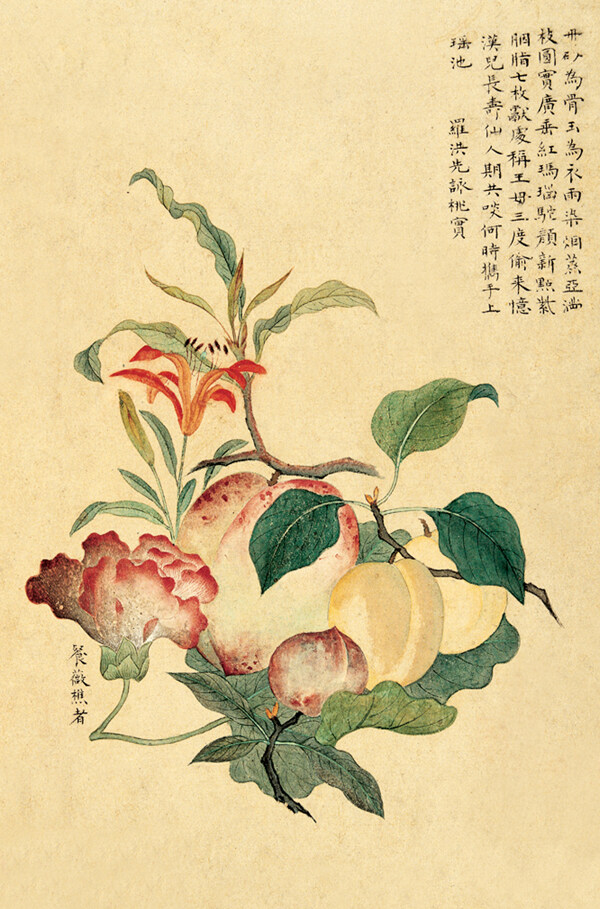 國畫工筆花鳥圖片