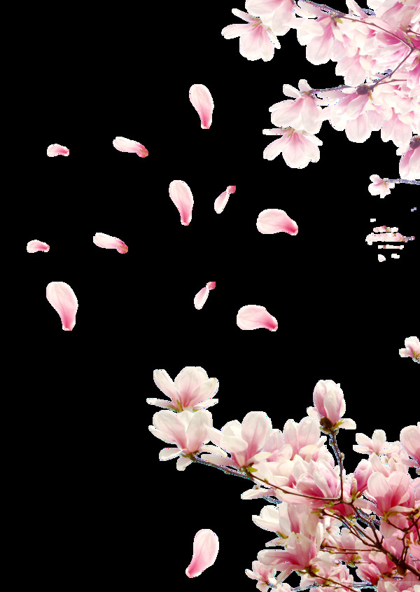 浪漫粉色花瓣元素