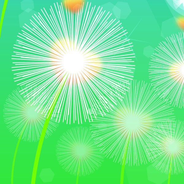 蒲公英
