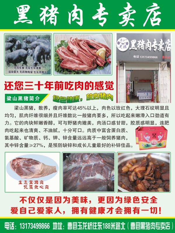梁山黑豬圖片