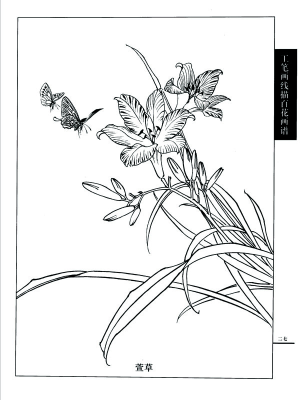 白描圖片