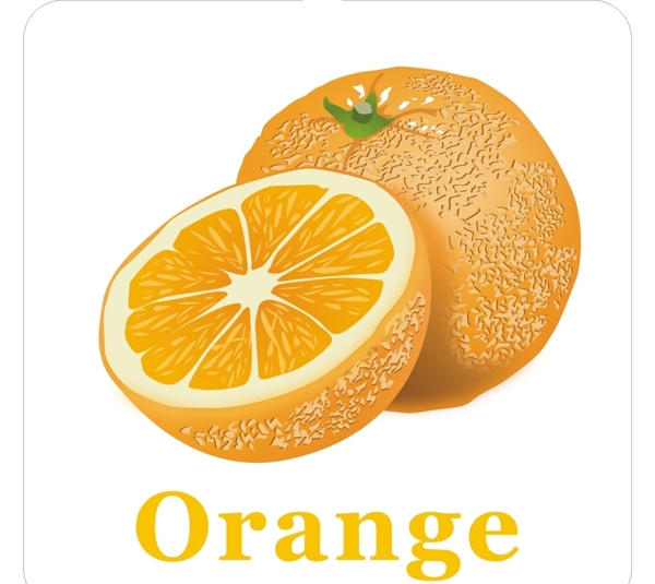 卡通水果橙子加英文名称