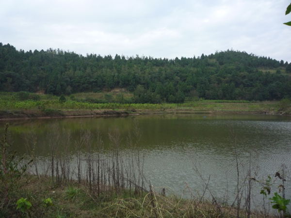青山和綠水圖片