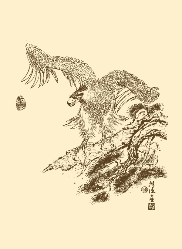 白描鷹圖片