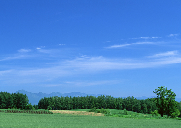 天空大地藍(lán)天白云草地