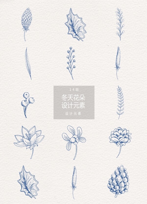 手绘冬季花卉植物设计元素